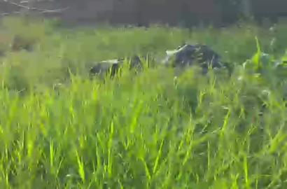 Land for Lease in Greenland Estate, Near the Expressway