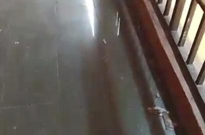3-Bedroom Upstairs Flat for Rent in Oke-Afa, Lagos