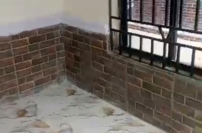 Clean Mini Flat for Rent in Ago Palace Way, Lagos Property Description