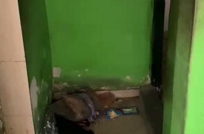 Room Self Contain for Rent in Ago Roundabout, Okota, Lagos