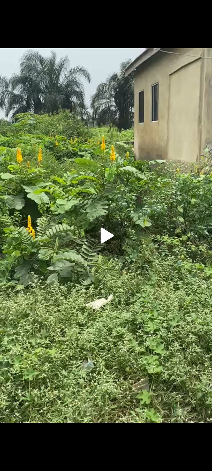 HALF PLOT OF LAND FOR SALE, @AFURUGIN AREA, IJEGUN LAGOS.