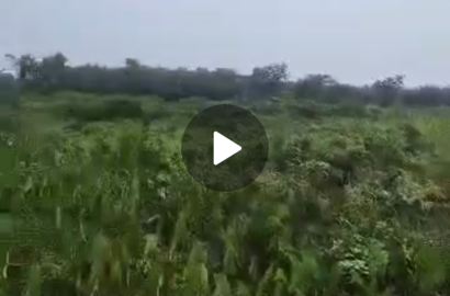 Over 100 Acres for sale @Iwerekun Awoyaya close to coastal road