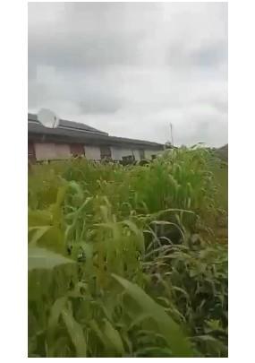 Fenced Half Plot of Land – Abaranje Road, Ikotun, Lagos