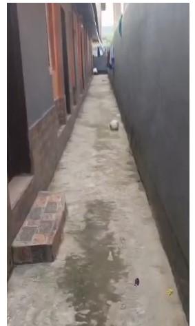 Mini Flat with POP & Prepaid Meter at Ijegun, Ikotun Road