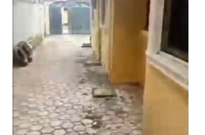 Affordable Mini Flat with 2 Toilets Near Killer House, Falana, Ejigbo