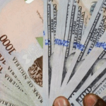 Comprehensive Naira Exchange Rate Update as of September 8, 2025