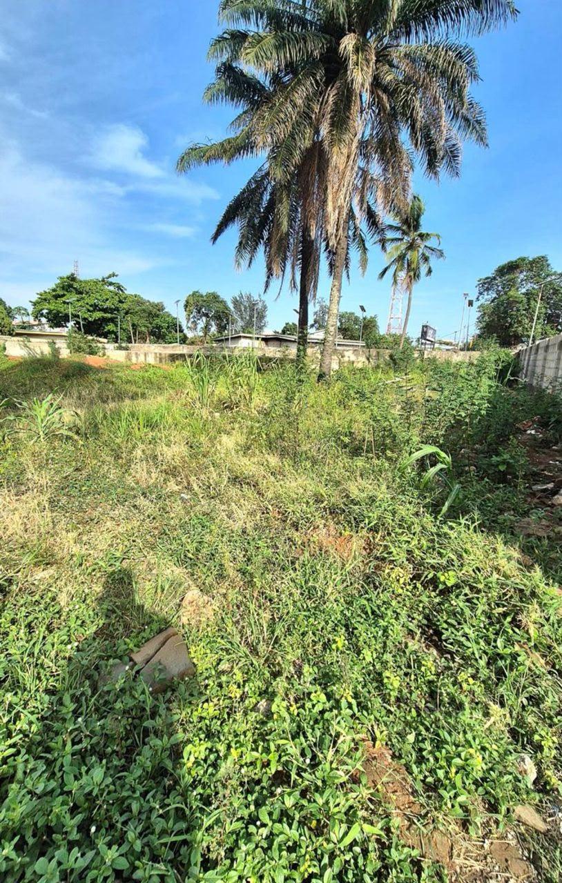 5 Plots of Land for Sale | Olaleye Estate, Surulere
