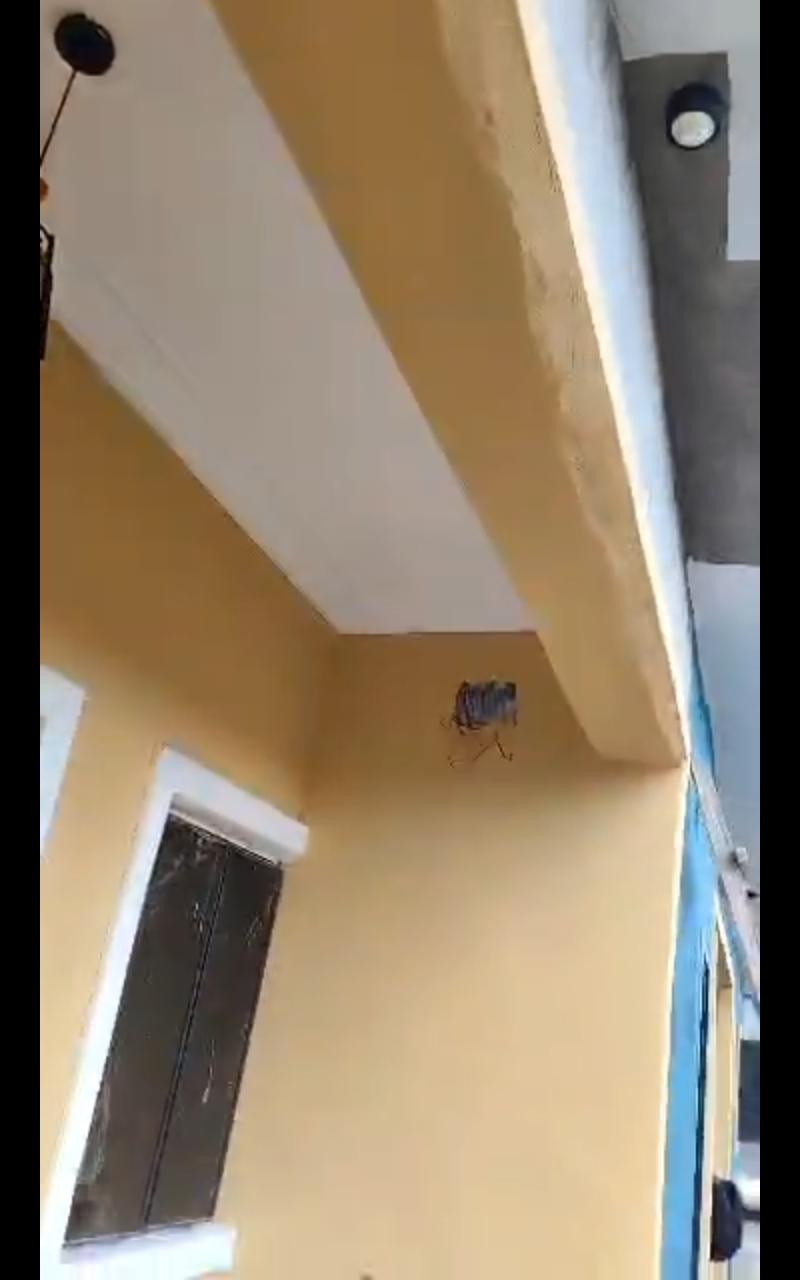 2-Bedroom Apartment for Rent in Royal Link Estate, Isheri Olofin