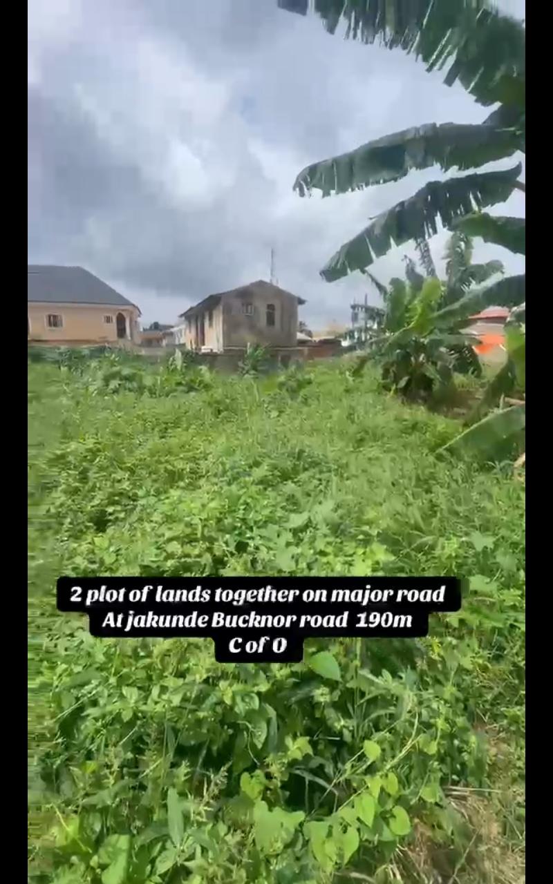 2 Plots of Fenced Land for Sale on the Main Road Before Bucknor