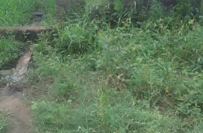 Full Plot of Dry Land at Bucknor, Lagos