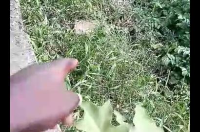 Half Plot of Land for Sale at Ejigbo, Lagos