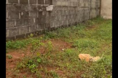 Full Plot of Land for Sale at Bucknor, Ejigbo