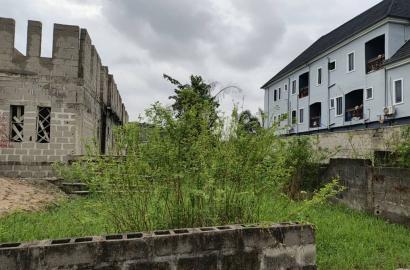 Half Plot of Land for Sale at Bucknor, Isolo, Lagos