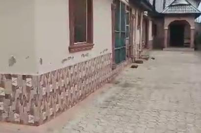 Prime 60 × 120ft Land at Mingles, Ilewe, Ejigbo