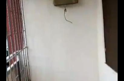 Mini Flat to Let at Ezeagwu Street, Oke-Afa