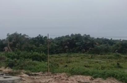 Massive Coastal Road-Facing Land for Sale – Sangotedo, Lekki