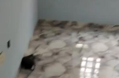 Newly Built Mini Flat for Rent – Isherri/Bucknor, Lagos